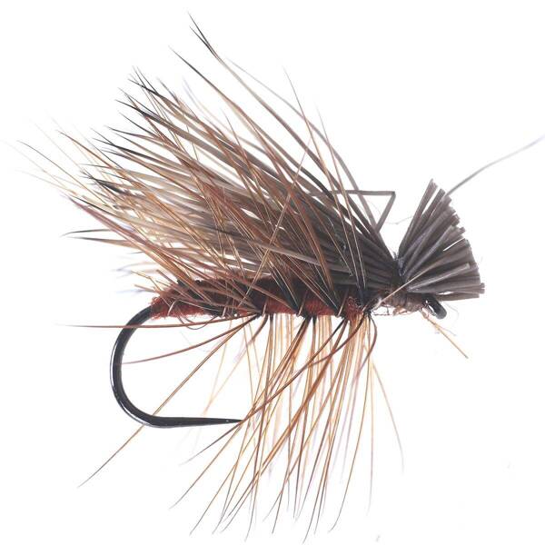 Elk Sedge Brown