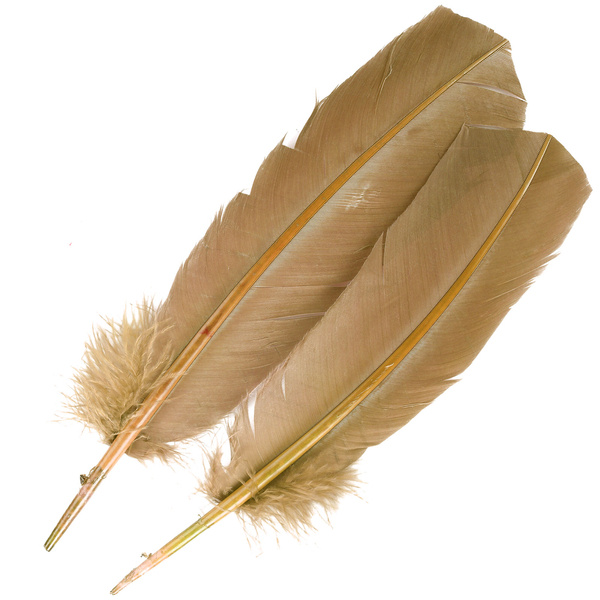 FFGene Turkey Wing Quill