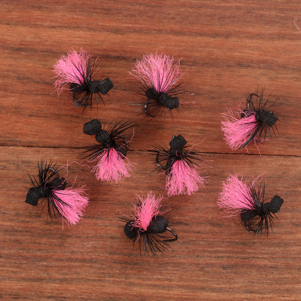 Fl Pink Indicator Black Ant