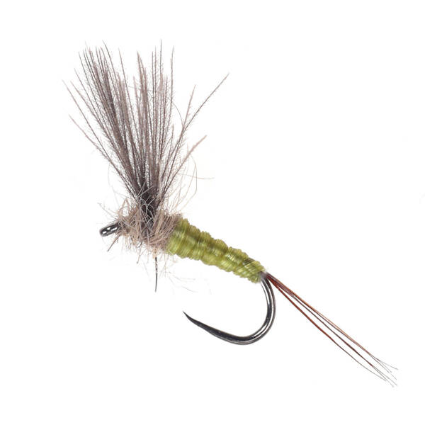 No Hackle CDC B.W.O.