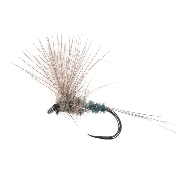 No Hackle Peacock Green