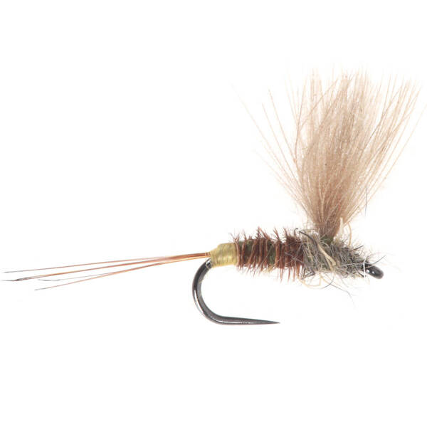 No Hackle Pheasant tail