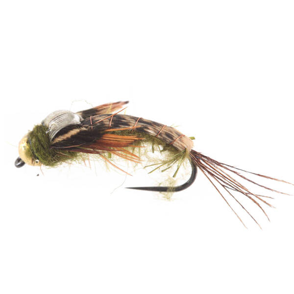 Tungsten BH Epoxy Back Green Drake