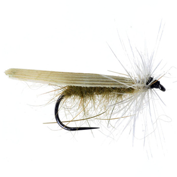 Traditional Tan Sedge