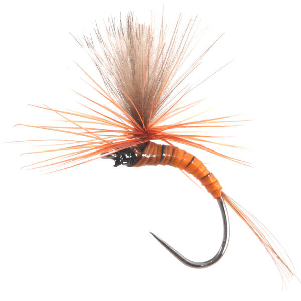 Emerger Parachute CDC Red Quill