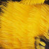 Tucan Yellow