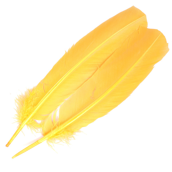 FFGene Turkey Wing Quill