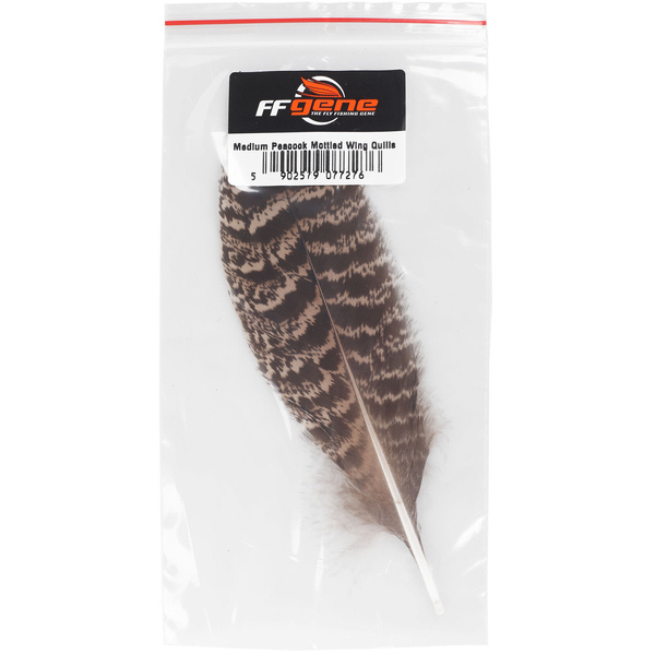 FFGene Medium Peacock Mottled Wing Quills