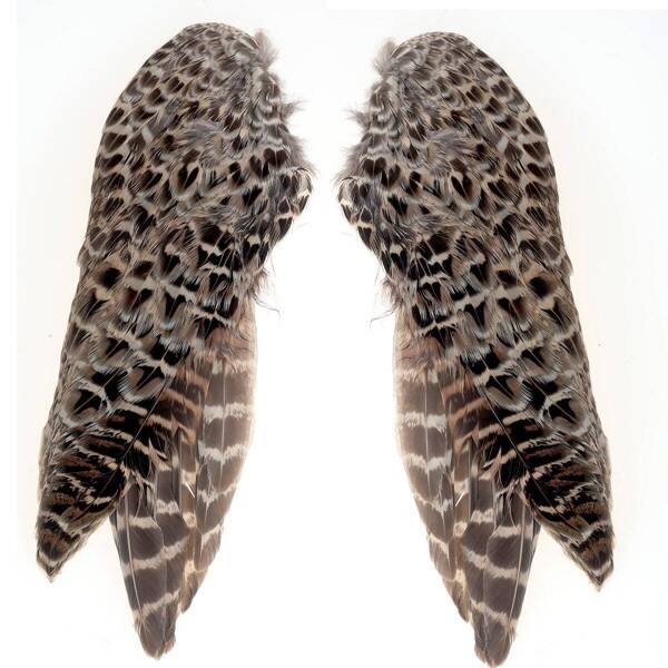 FFGene Pheasant Wings Hen