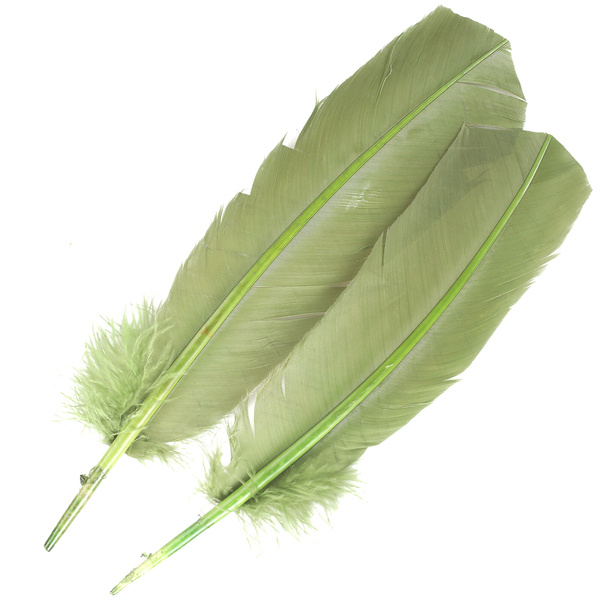 FFGene Turkey Wing Quill