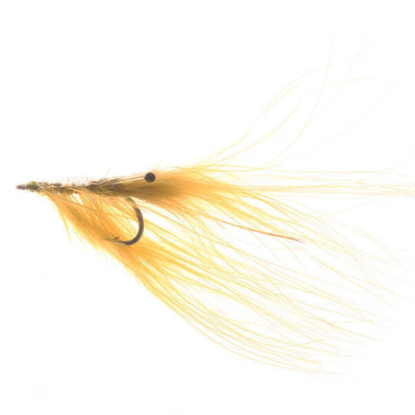 Pattegrisen (Dna-Marabou) Olive