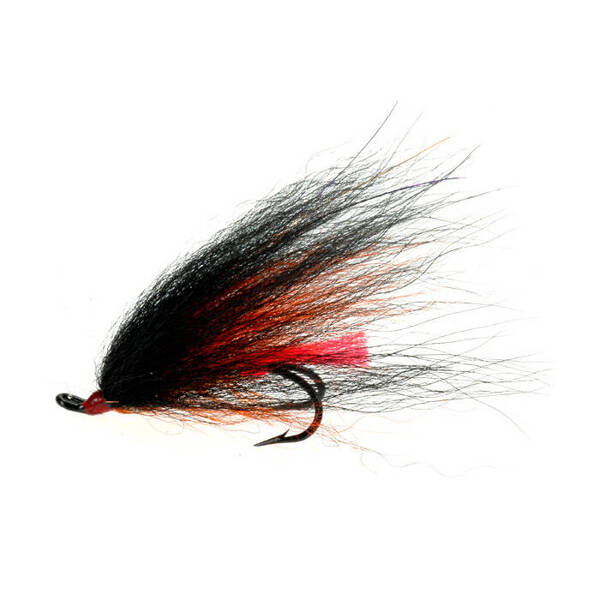 Temple Dog Black/Orange Double Salmon