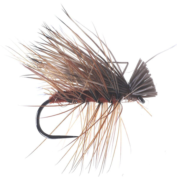 Elk Sedge Brown