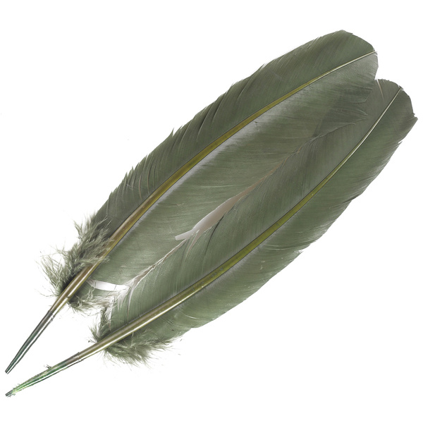 FFGene Turkey Wing Quill