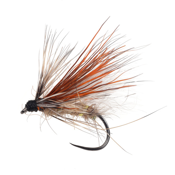 Hair and CDC Wing Caddis