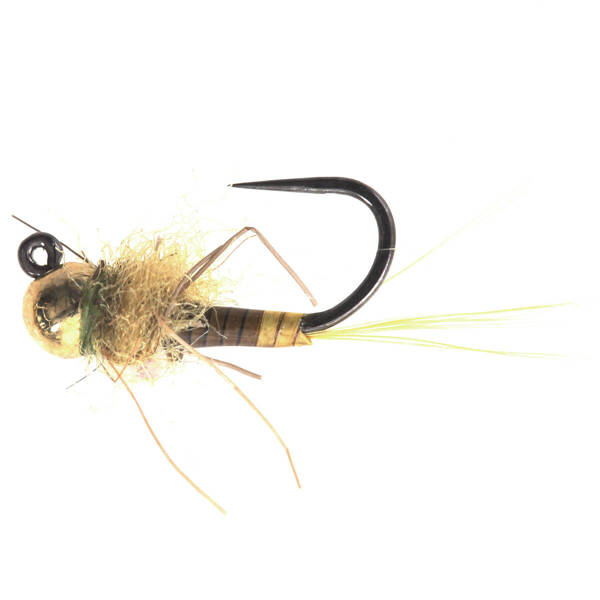 Natural Olive Jig