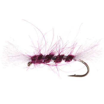 Buzzer Shipman Claret