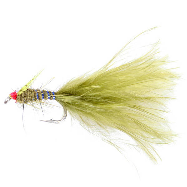 Damsel Fl. Orange Bead Olive