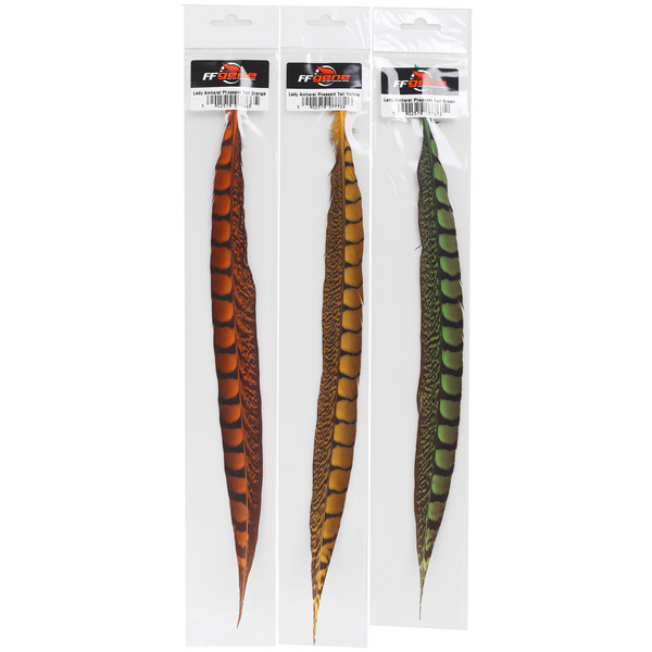 FFGene Lady Amherst Pheasant Tail