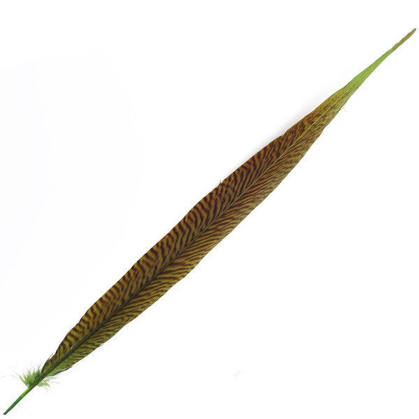 FFgene Golden Pheasant Tail