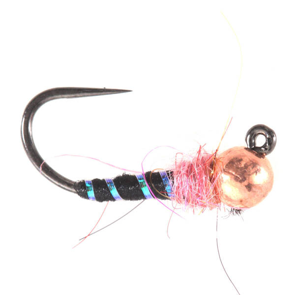 Tungsten BH Black Rinned Nymph