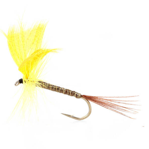 Mayfly Mallard Wings Yellow Brown Tail