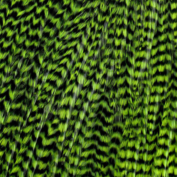 Ewing Grizzly Whole Saddles