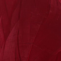 Hareline Select Goose Shoulder