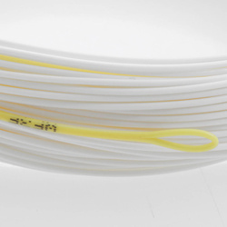 Fly Line Taimen Accuracy P