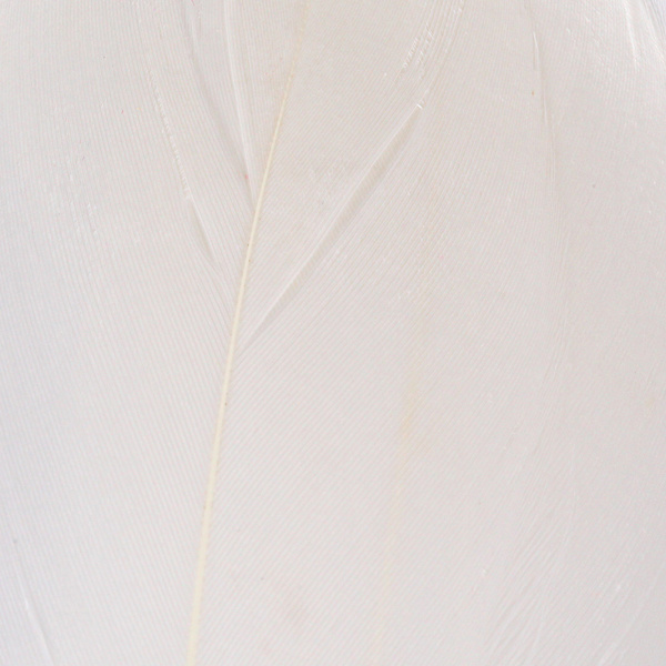 Hareline Select Goose Shoulder