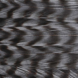 Ewing Deceiver Patch Dyed