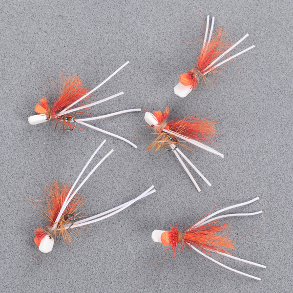 White Legs Orange Beetle
