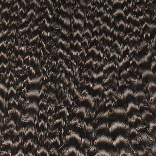 Wapsi Grizzly Hen Neck