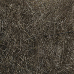 FFGene Nutria Dubbing