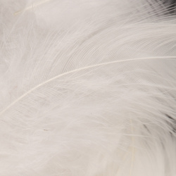 Wapsi White Matuka Soft Hackle