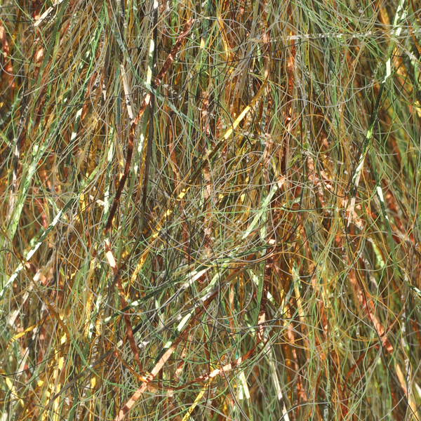 Sybai Pike Supreme Dubbing