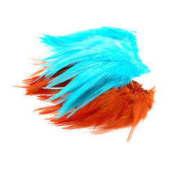 Wapsi 串装公鸡鞍羽 White