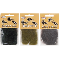 Wapsi Life Cycle - Nymph