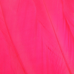 FFGene Goose Shoulders