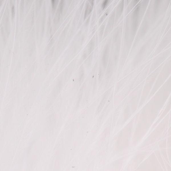 FFGene Wooly Bugger-maraboe (Blood Quill) (7-10 cm cm)