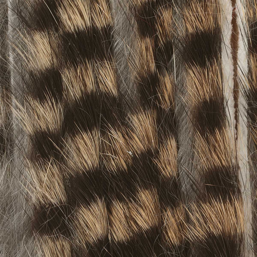 Tan