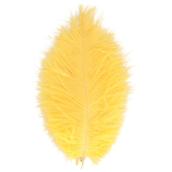 FFGene Ostrich Hackles Feathers