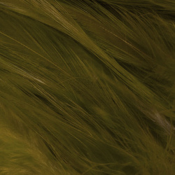 Hareline Saltwater Neck Hackle