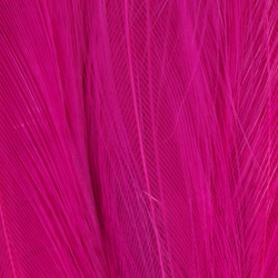 FFGene Cock Neck Hackles