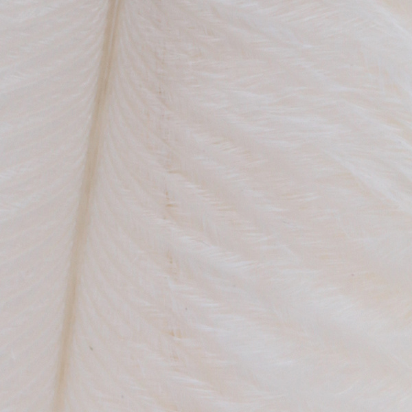 Wapsi Ostrich Marabou