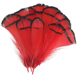 FFGene Lady Amherst Tippets