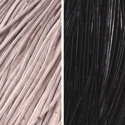 Whiting Combo Starter