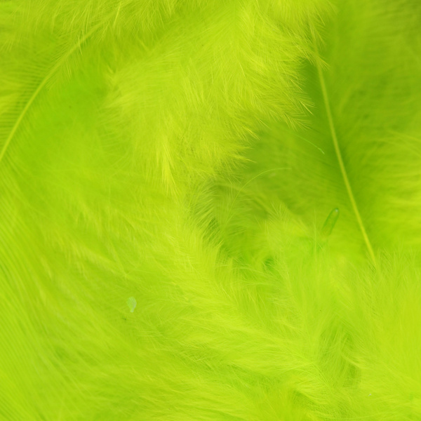 Wapsi Pene pentru soft hackle Matuka White
