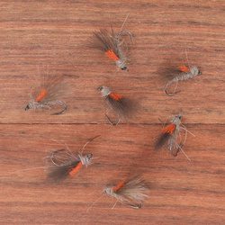 Orange Indicator CDC Hare Body