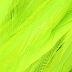 Hareline pene de șa de cocoș din China, legate în mănunchi 5-7